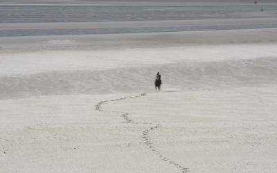 Vacances d’été