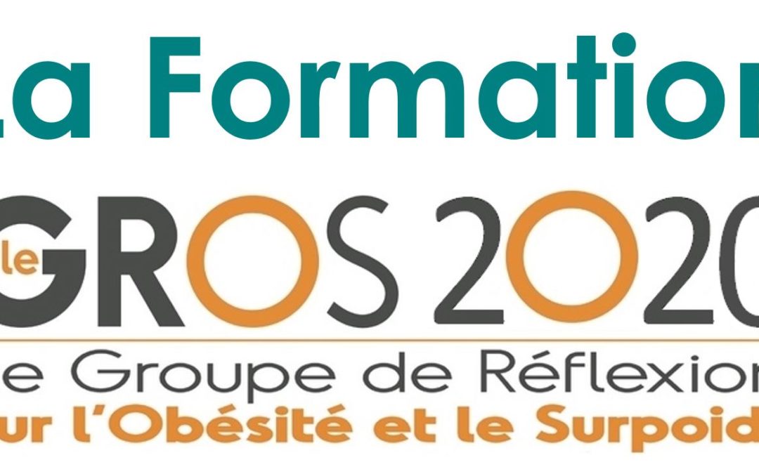 Validation de la formation du GROS 2020 !